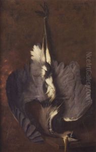 Graureiher by Hans Emmenegger