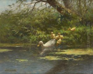 La Mare Aux Canards
