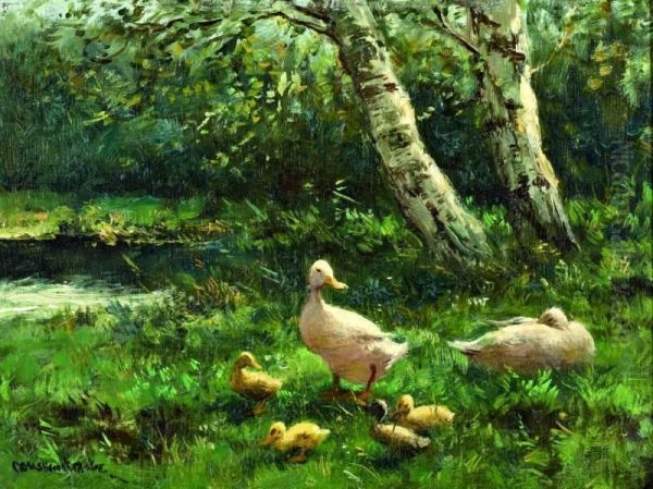 Eendenfamilie In Het Gras - view 1