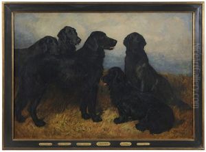 Portrait Of Four Retrievers And A Black Spaniel