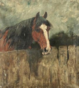 Study Of A Horse At A Fence