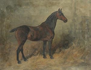Study Of A Horse by John Emms