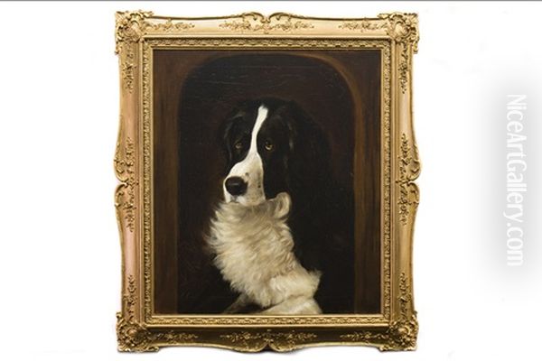A Collie At The Door Of His Kennel - view 1