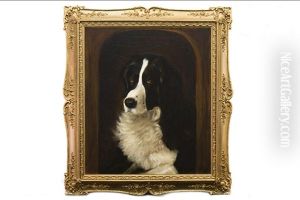 A Collie At The Door Of His Kennel by John Emms