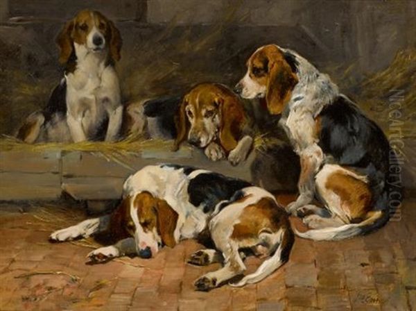 Beagles- Fathers Of The Pack - view 1