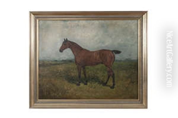 Study Of A Bay Gelding - view 1