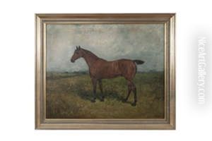 Study Of A Bay Gelding by John Emms