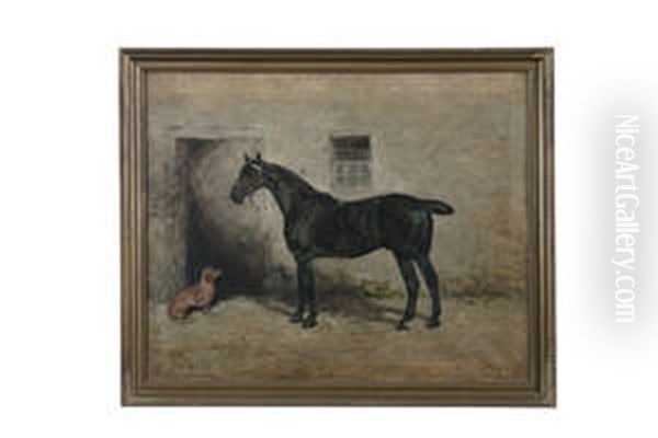 Portrait Of Cob - view 1