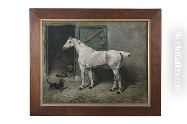 Portrait Of A Grey Cob - view 1
