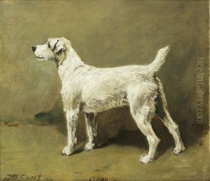 Portrait Of The Terrier 'chance by John Emms