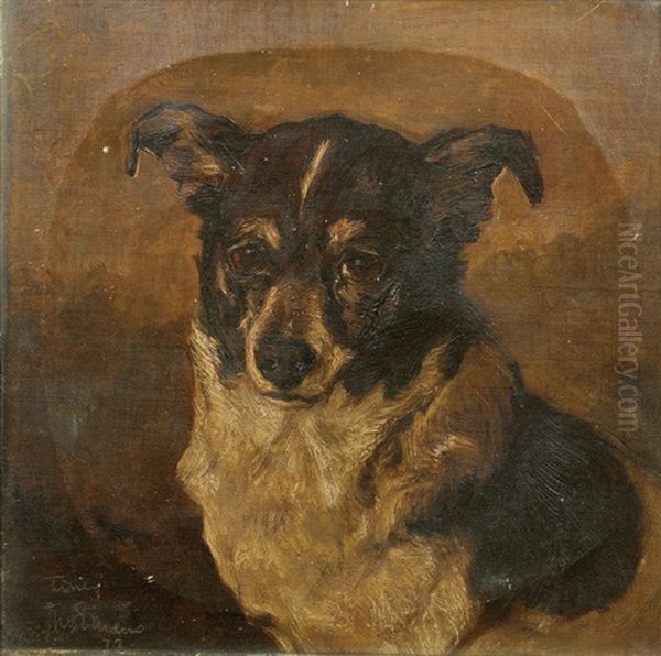 Portrait Of Tiney - view 1