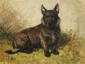 Spider, Portrait Of A Scottish Terrier by John Emms