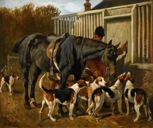 Huntsman, Bay Hunter And Foxhounds Outside Kennel