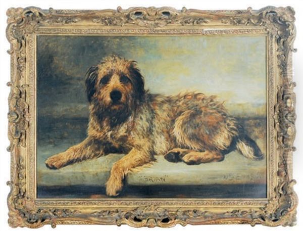 Brian, The Terrier - view 1