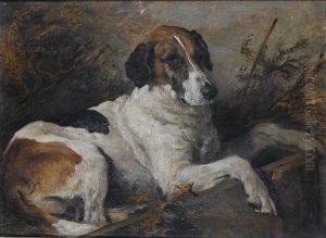 A Study Of The Fox Hound Nick