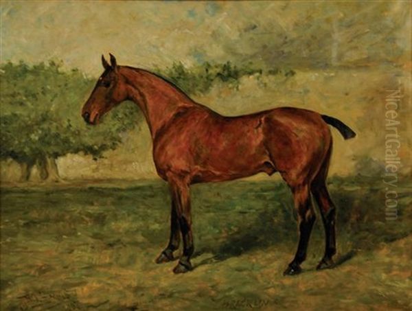 Portrait Of Bracklin - view 1