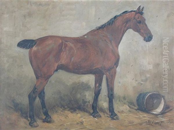 Bobby, A Bay Hunter, In A Stable - view 1