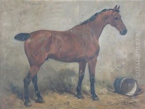 Bobby, A Bay Hunter, In A Stable Bobby, A Bay Hunter, In A Stable