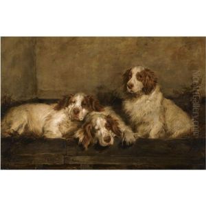 Cocker Spaniels In A Kennel by John Emms