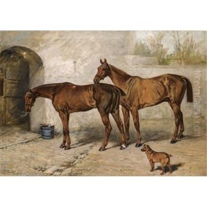 "australia", "barney" And "doctor" In A Stable Yard
