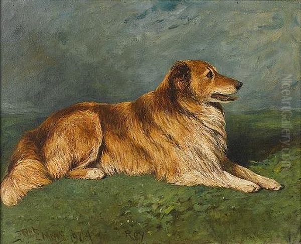 "roy" - A Collie In A Landscape - view 1