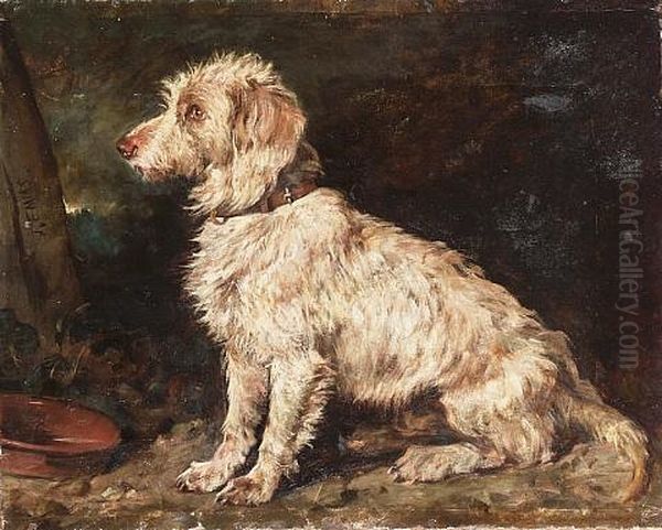 Study Of A Seated Terrier (a Bedlington?) - view 1