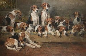 New Forest Foxhounds