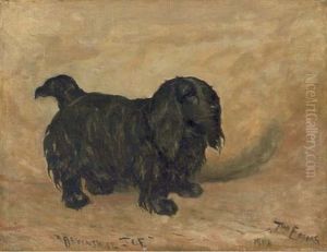 "devonshire Joe", A Black Spaniel by John Emms