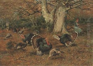 The Turkey Girl
