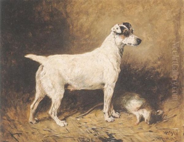 "zoe": A Jack Russell In A Barn - view 1