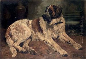 A Saint Bernard