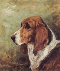 Study Of The Fox Hound "happy Thought"