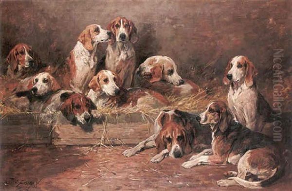 Buck Hounds - view 1