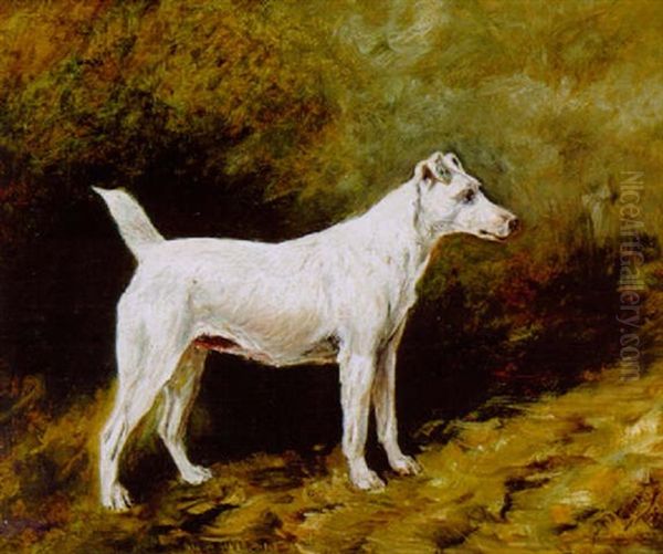 "champion Vesuvienne", A Smooth-coated Fox Terrier In A Landscape - view 1