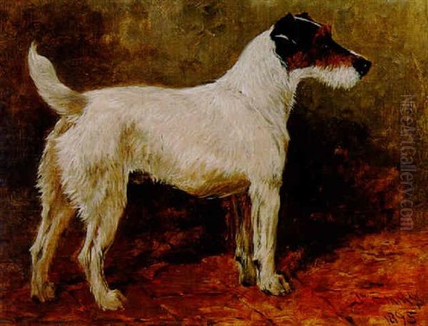 Champion Wire Fox Terrier "roper's Nutcrack" - view 1