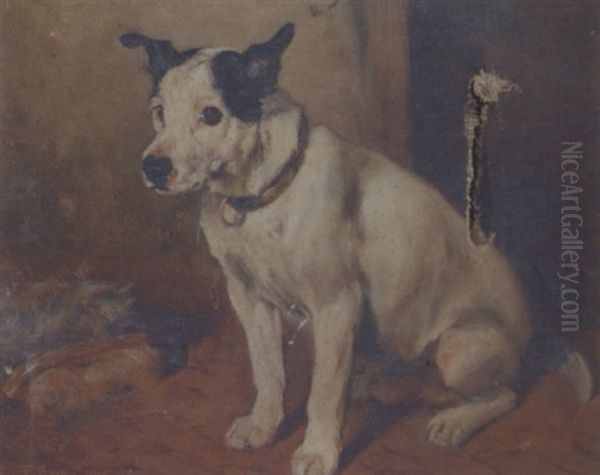 "nip", A Jack Russell - view 1
