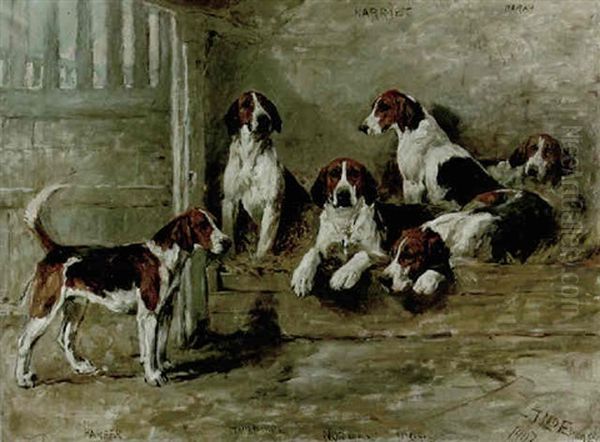 "harriet", "norah", "harper", "hornpipe", "norman" And "nigel" - view 1