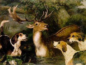 The Stag At Bay by John Emms