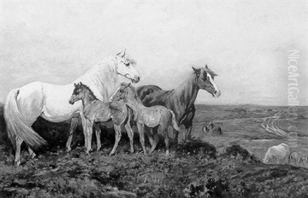 Horses On The Moor - view 1