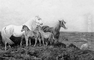 Horses On The Moor Horses On The Moor