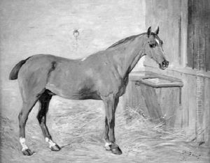 Portrait Of A Chestnut Hunter In Loose Box