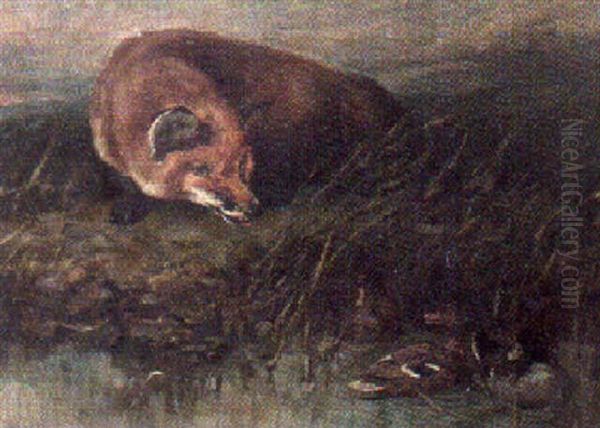 Fox And Ducks - view 1