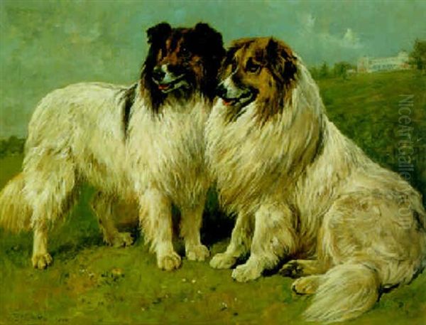 Two Collies - view 1