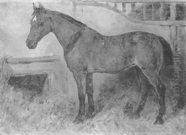 A Bay Carriage Horse In A Loosebox - view 1
