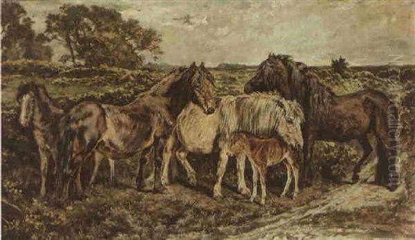 Ponies On A Moor - view 1