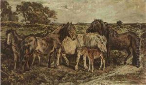 Ponies On A Moor