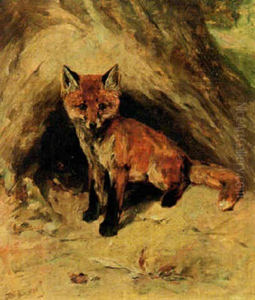 A Fox Cub - view 1