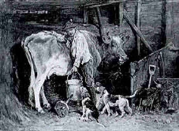 Milking Time - view 1