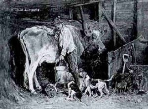 Milking Time Milking Time