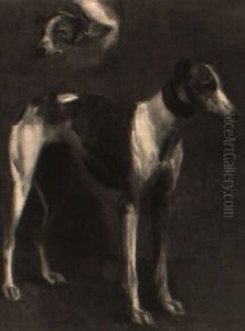 Study Of A Greyhound (lucifer Ii?) by John Emms
